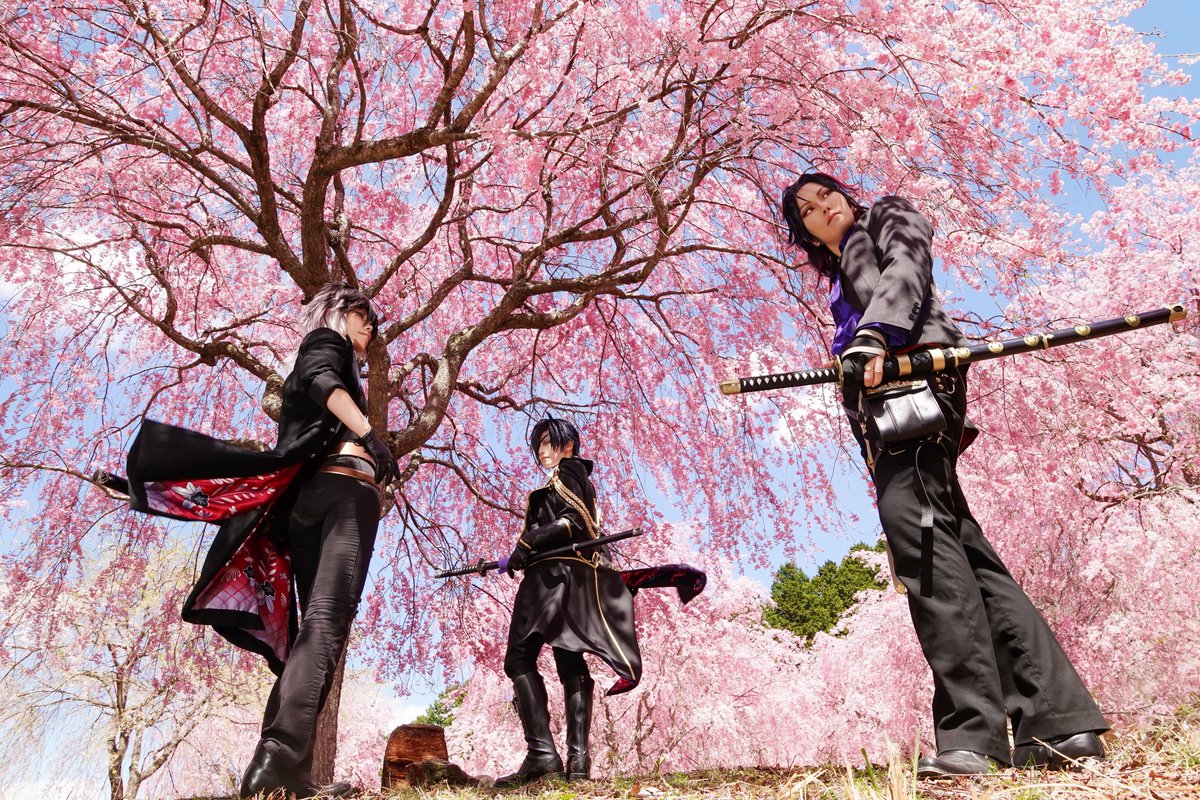 YakiYakou's tweet photo. 満開の桜の木の下で
▫︎
刀剣乱舞 ［コスプレ/ Cos ］
燭台切光忠:雷輝(@Raiki06)
福島光忠:MNJ(@chakapon_bkmt )
実休光忠:夜光夜希
📸楿(@8katura888) https://t.co/Jw3FZ5uAEz