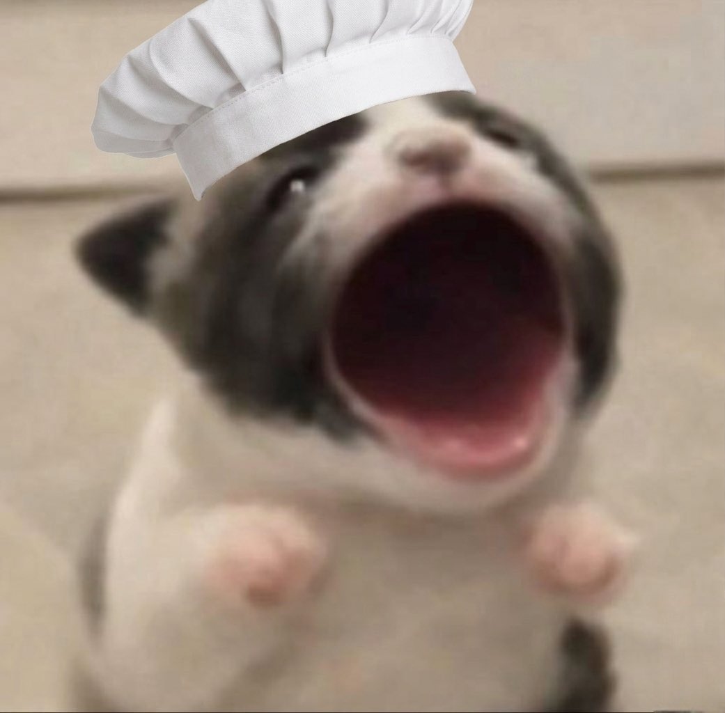 #kuships tweet media