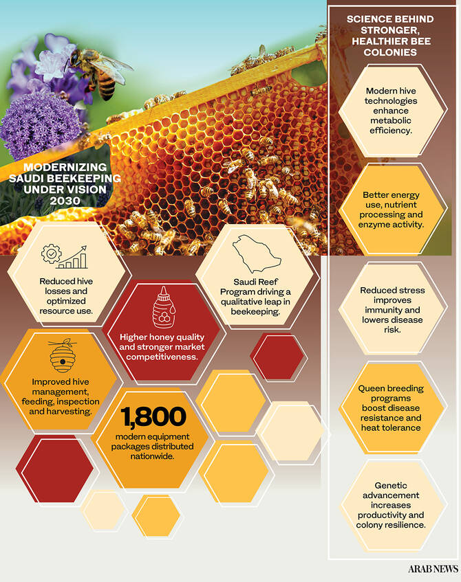 ArabNewsBiz's tweet image. #GreenAndBlue: @ReefSaudi launches project to provide beekeepers with modern tools and equipment, aiming to achieve a qualitative leap in #beekeeping arab.news/gx9vd