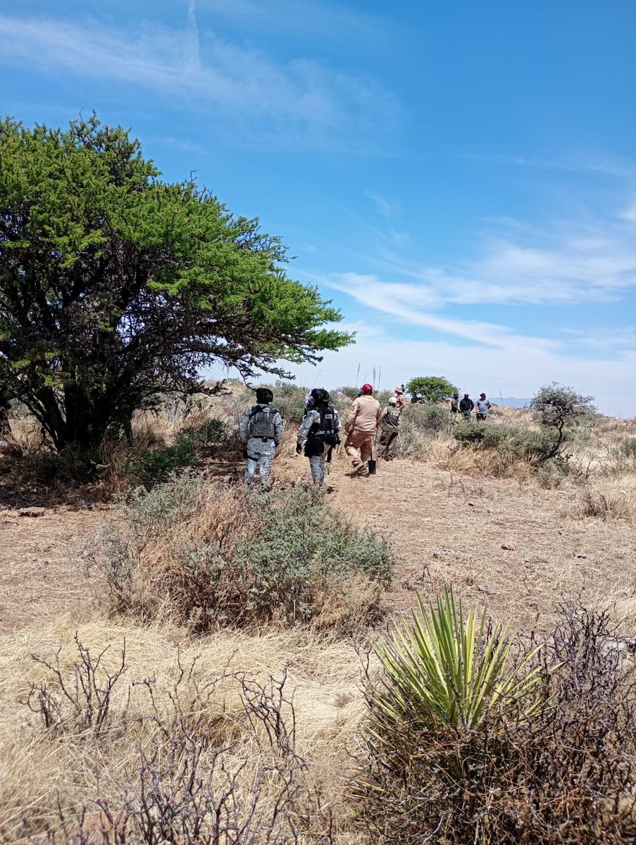 Com. Social del Gobierno de Zacatecas tweet media
