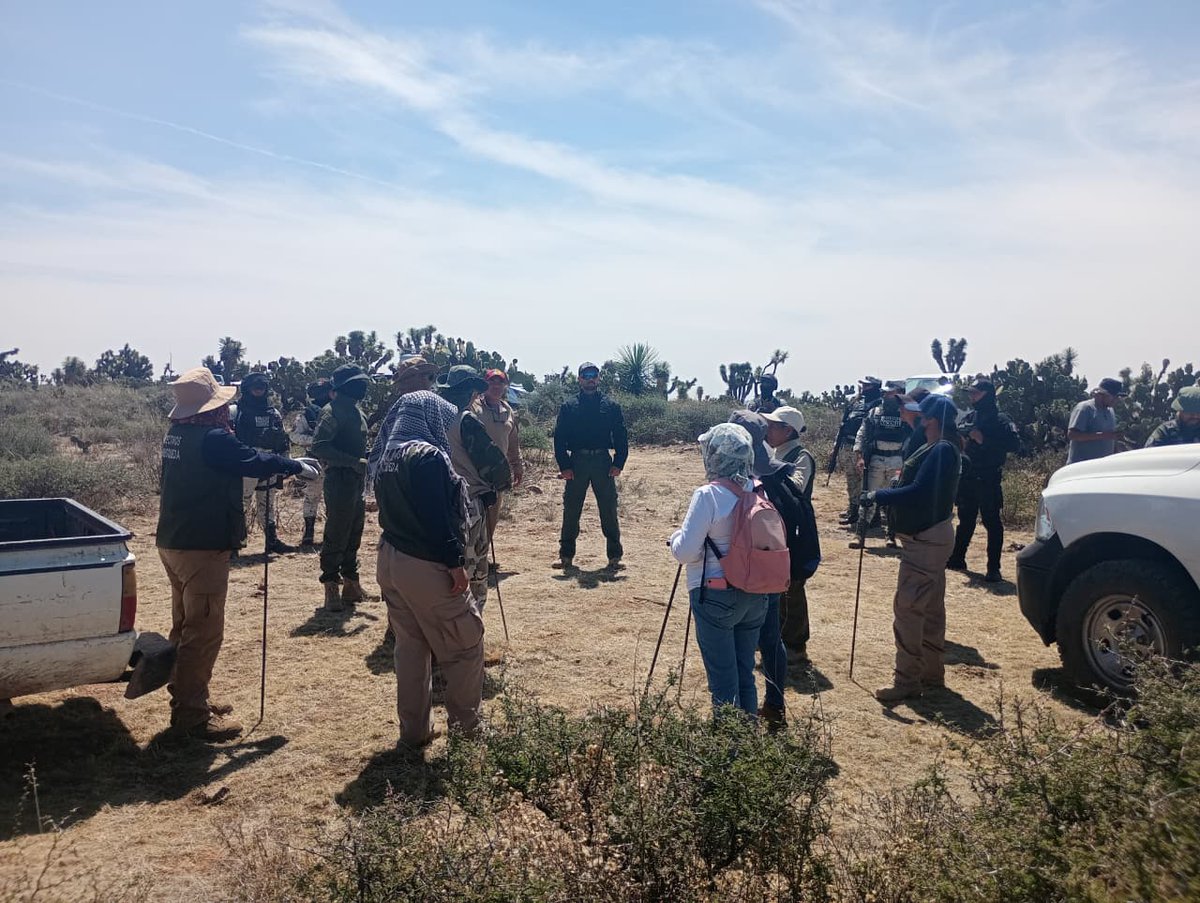 Com. Social del Gobierno de Zacatecas tweet media