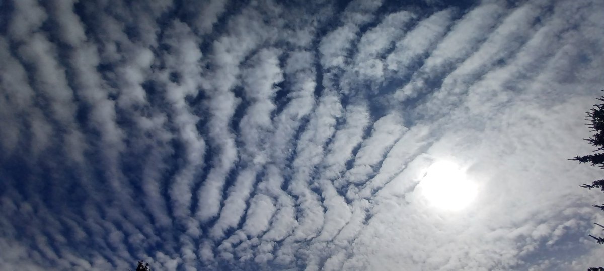 Tara4Lynn4's tweet image. CRIMES OVER OREGON! Chemtrails, Sun Dimming, Frequency Waves....all day long!