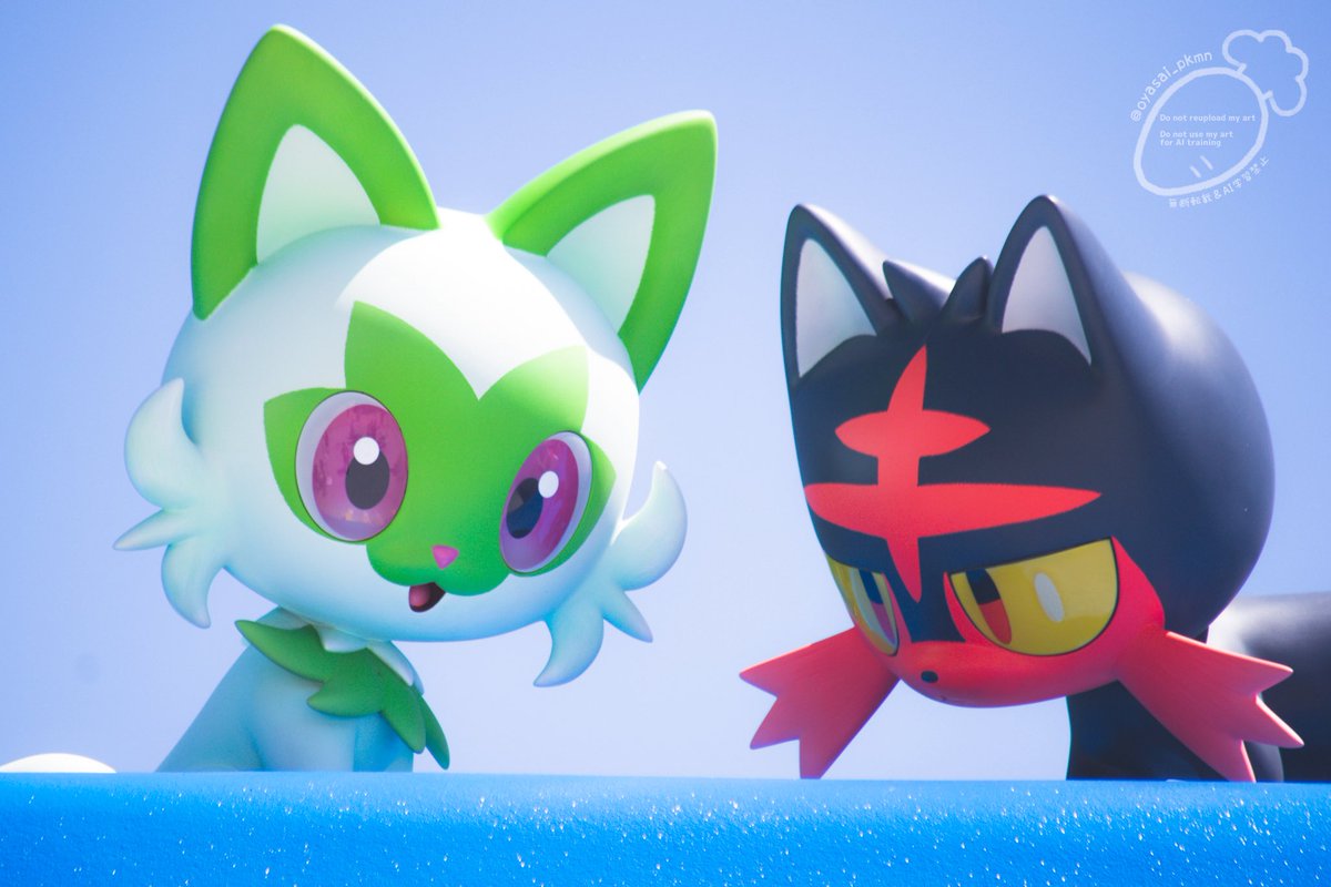 𝚘𝚜𝚊𝚢𝚊🥕🍀🐾 tweet media