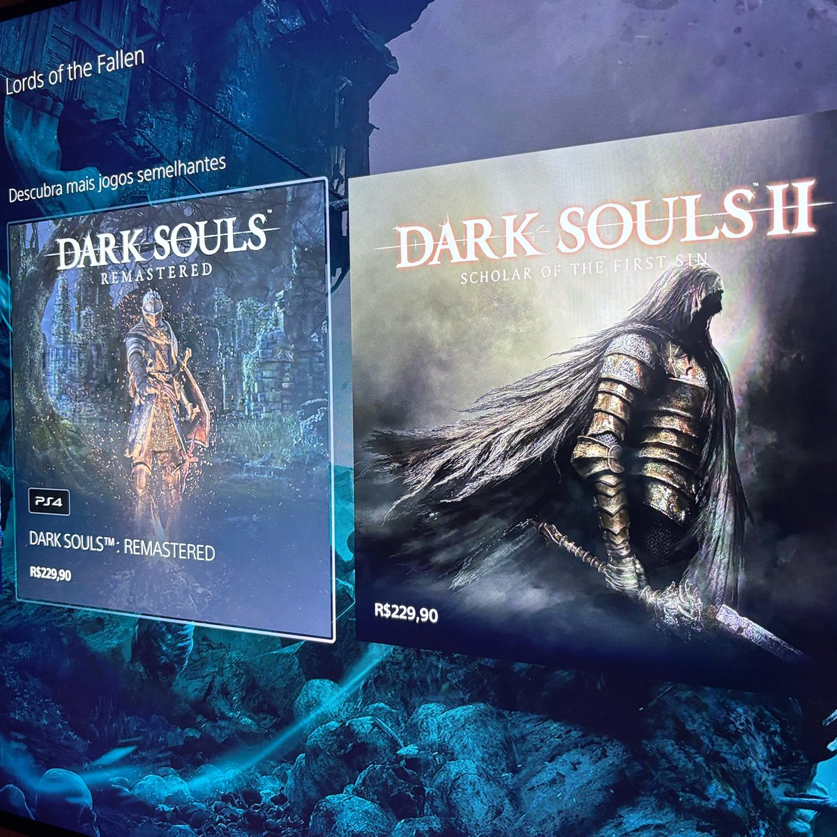 catarina tweet media