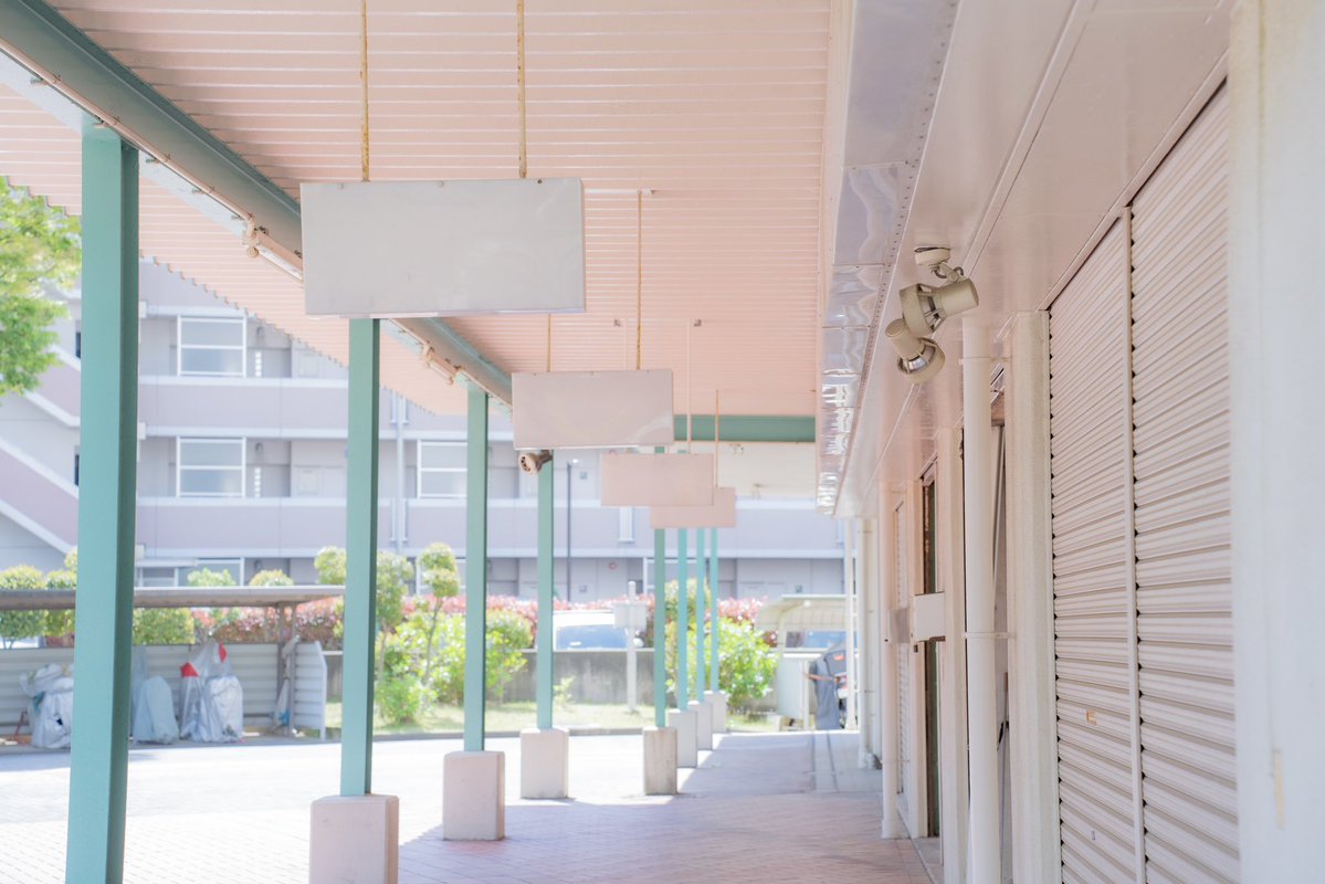 波世側 まる（すごい生命力） tweet media