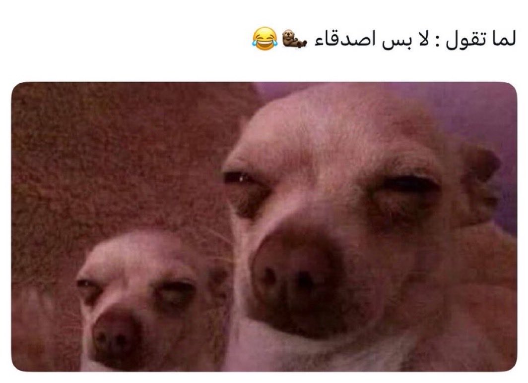 مُـتَـشـائِـل ♡ tweet media