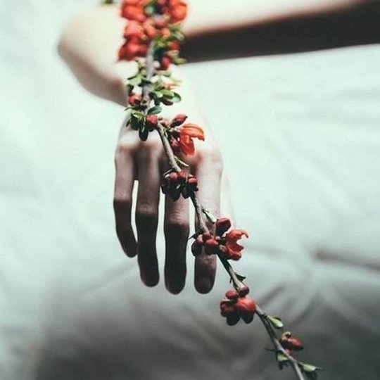 We waste our whole lives hoping.