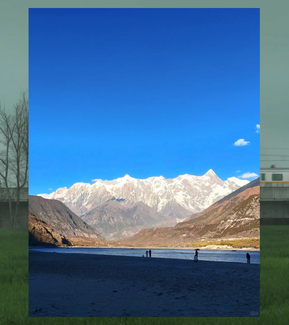 Matthew Collard tweet media