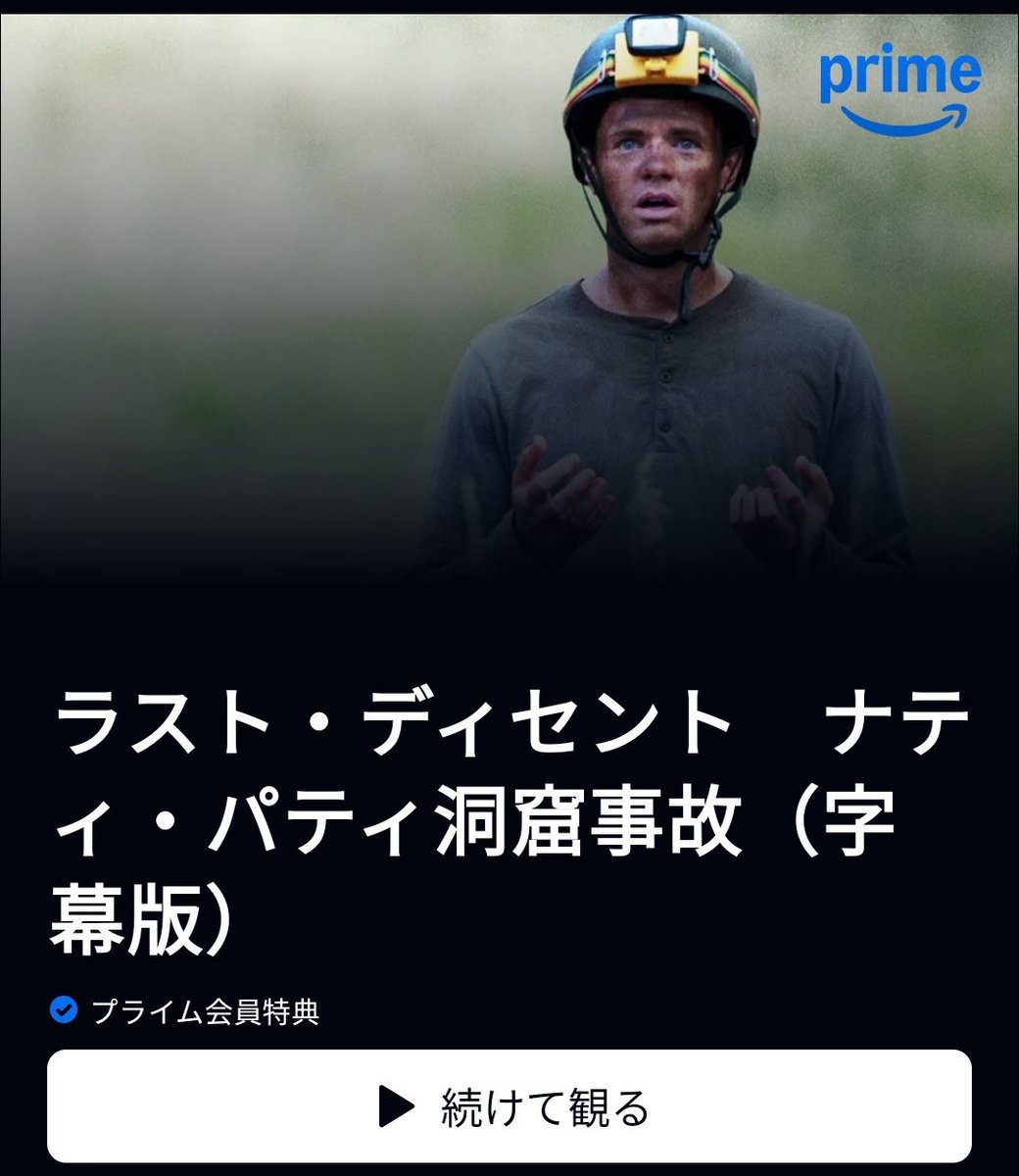 ぷーにゃん🐻 tweet media