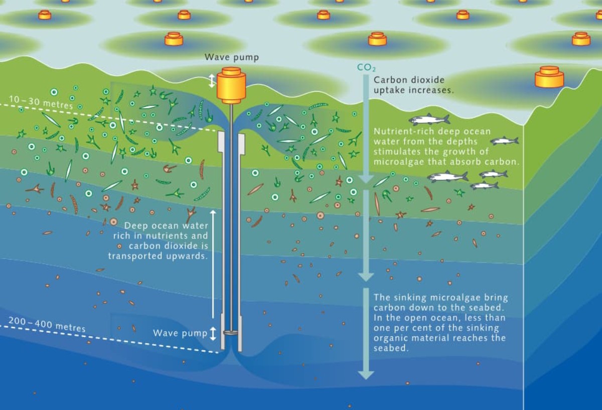 Peter Clack tweet media