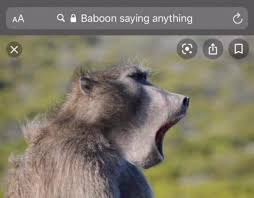 flask, conjurer tweet media