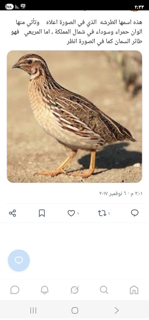 فرحان شريده الظفيري tweet media