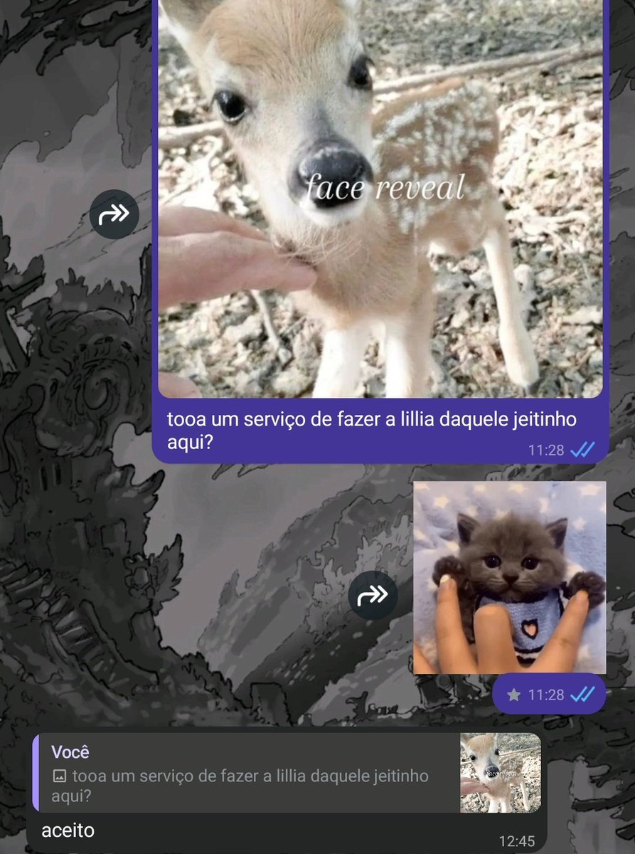 Acervo Lillia 🦌 tweet media
