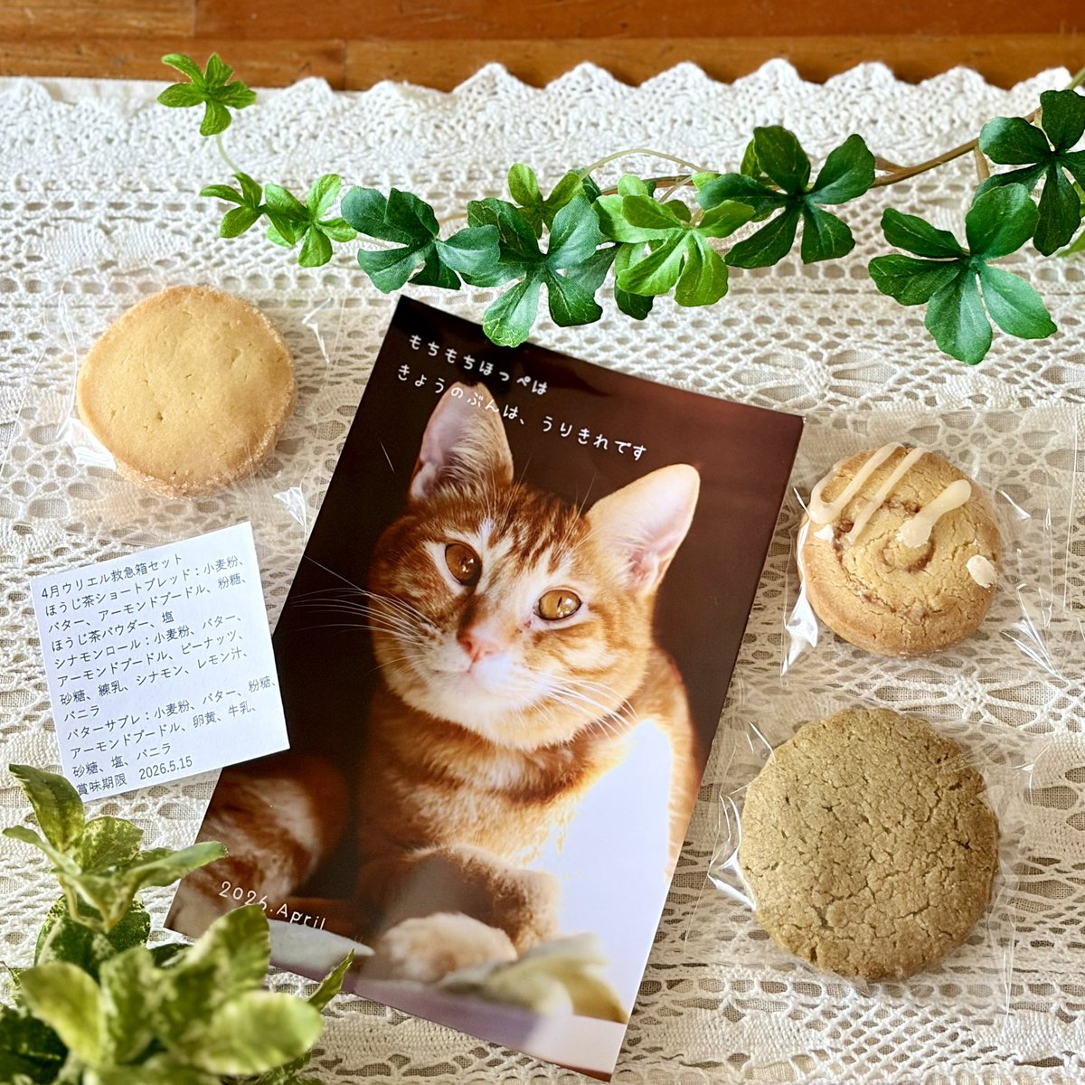 おはようございます☀️

大阪 中崎町の保護猫cafeウリエル( <a href="/Uriel0707Uriel/">保護猫cafe ウリエル</a>  )さんから、
保護猫医療費サブスク『うりえる救急箱基金』の4月セットが届きました🐈✨🍪

みにゃさま今月もありがとうございました😸