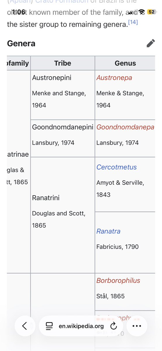 hemipterans are gooning?