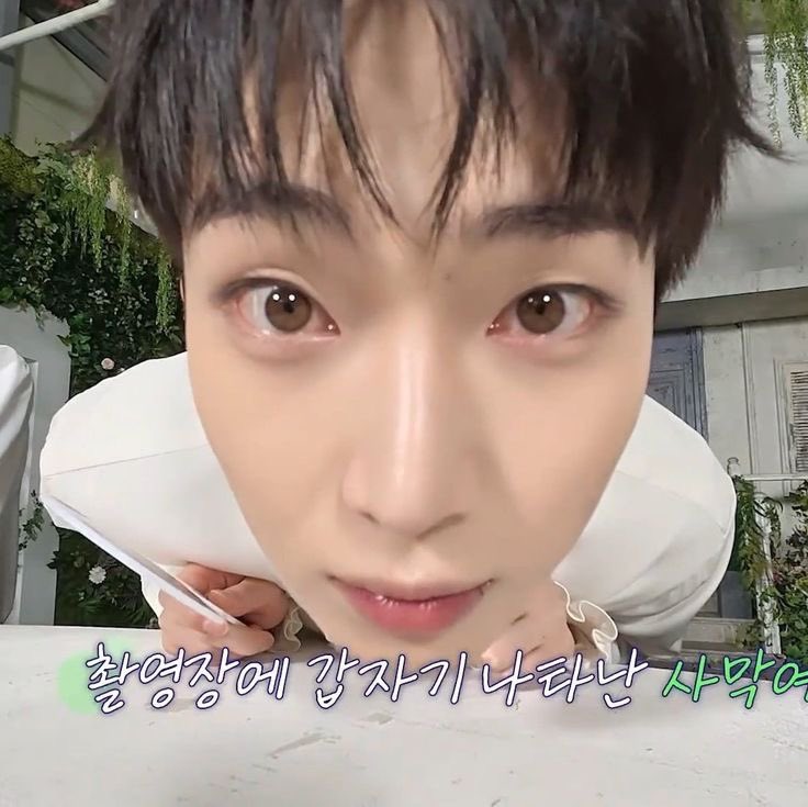 🍀Mandu🌻 tweet media