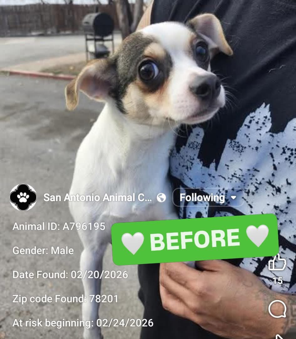 Aurora ⸆⸉ misses Liam ❯❯❯❯ tweet media