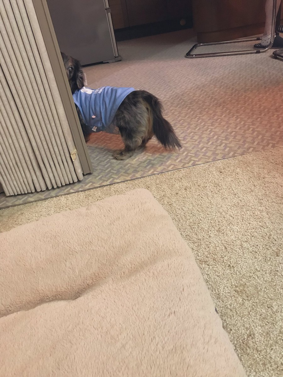 ずさし tweet media