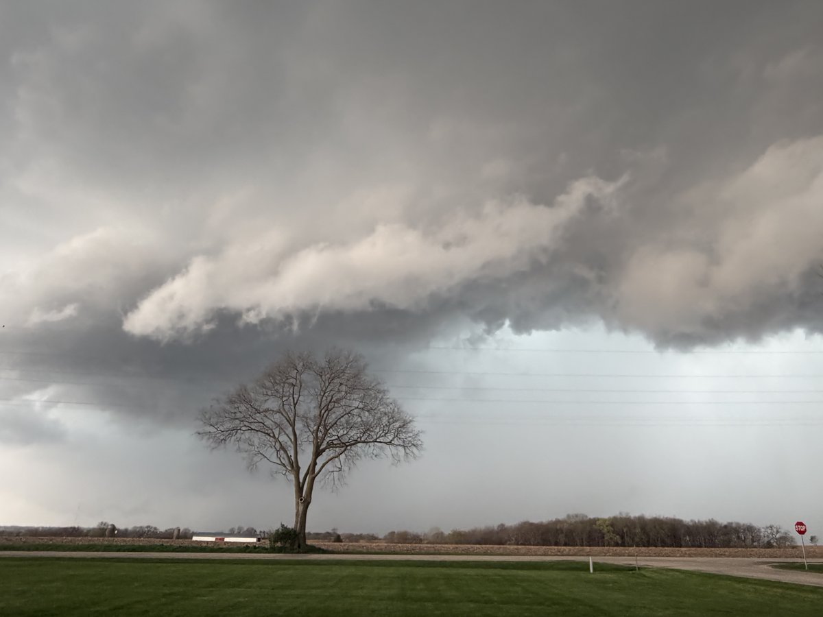 Papa Dino tweet media