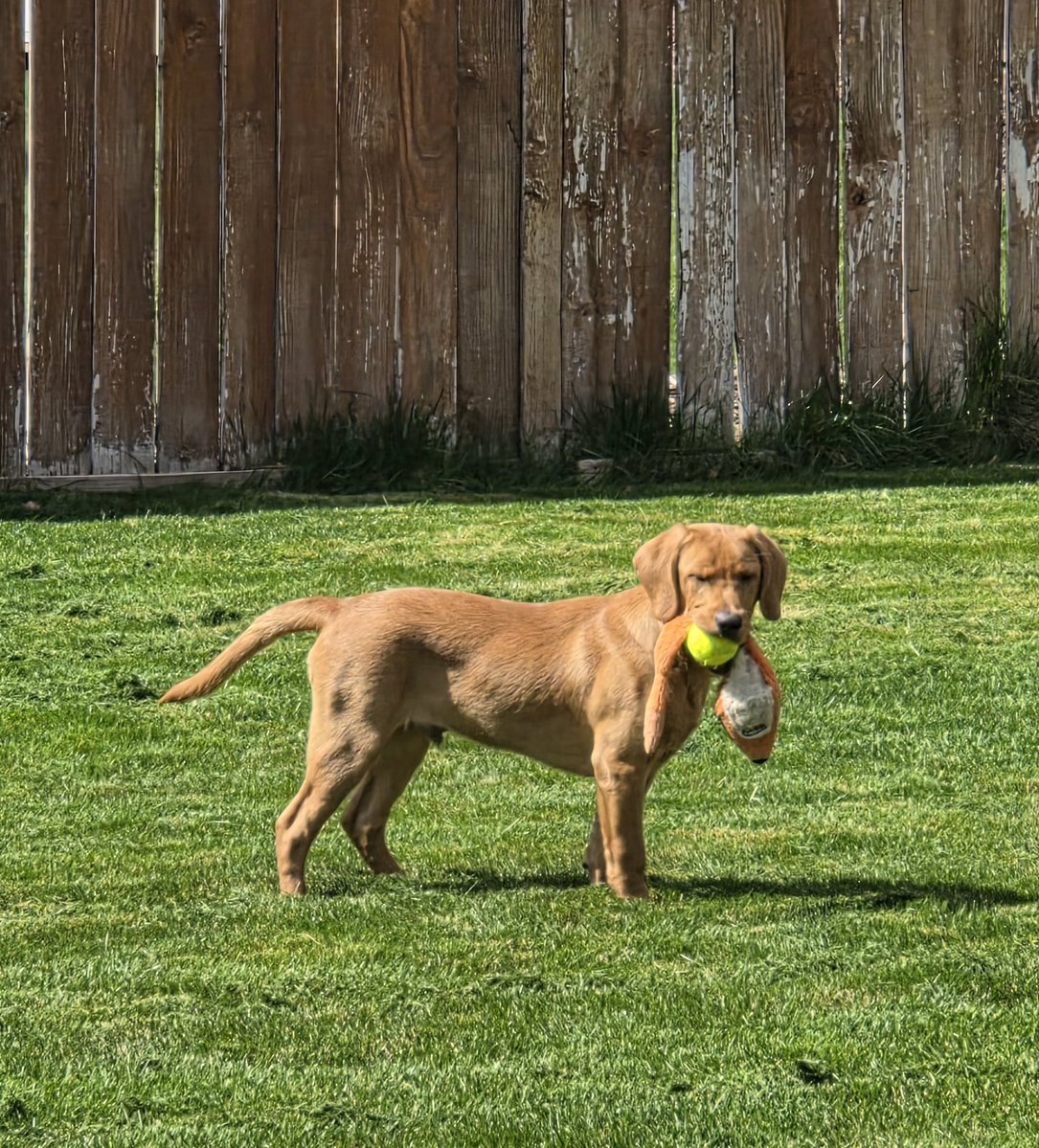 Dusty_Buns tweet media