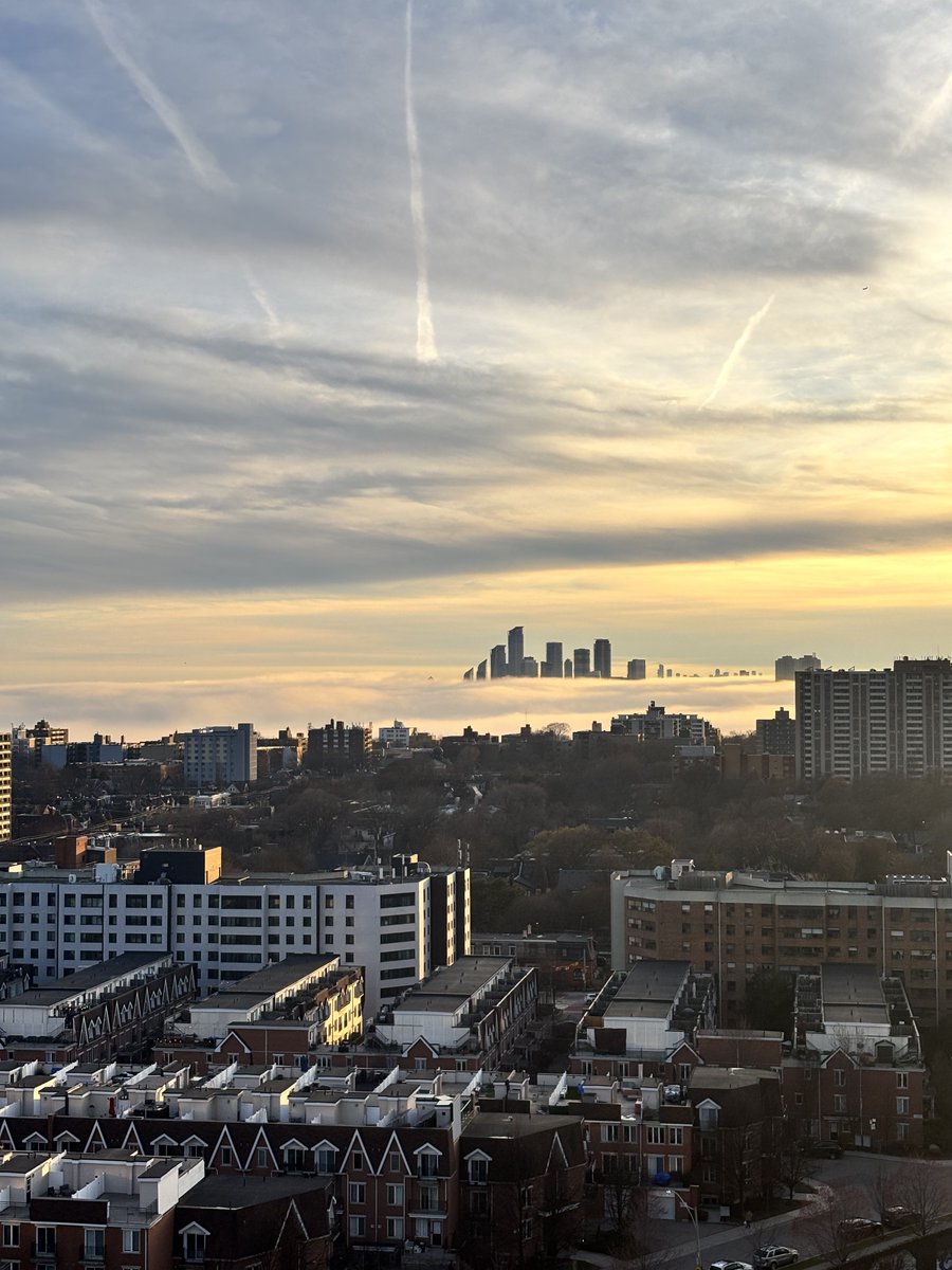 the heavenly kingdom of mimico