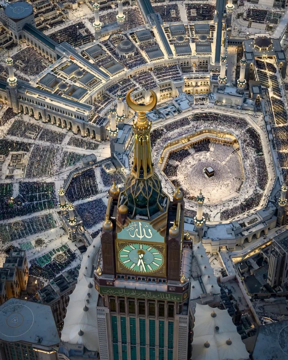 ســارة 🕊️🍃 tweet media