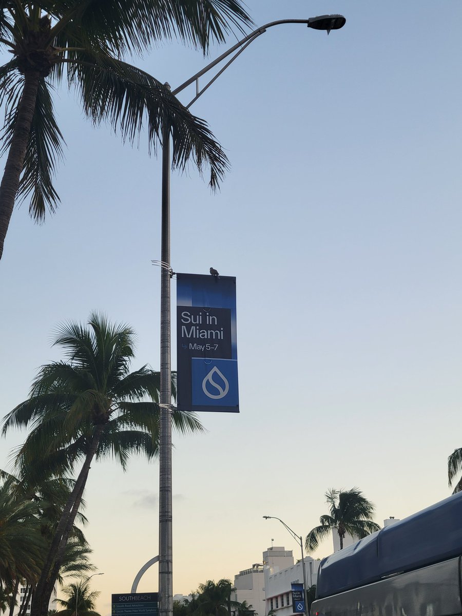 Patrisimoose's tweet photo. Enjoying these very specific yet imprecise calendars in Miami. はい、水曜日が5月５ー7日の中にあります https://t.co/8dnAWwAucq