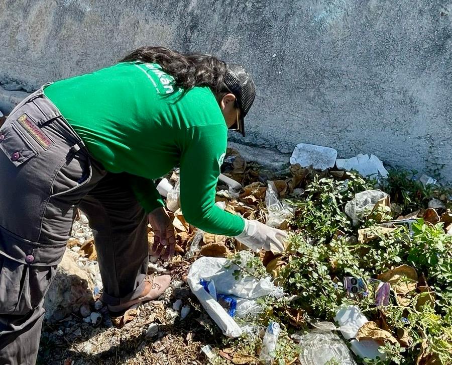 SEMARNAT_mx's tweet photo. 🚮 Esta semana, a través de la Oficina de Representación en #Campeche y en coordinación con la @SEMAR_mx, instancias del sector ambiental y autoridades del gobierno local, la #Semarnat participó en una Jornada de Limpieza de Playa en el municipio de Seybaplaya. 

Estas actividades fomentan la conciencia ambiental, promueven el trabajo en equipo y contribuyen significativamente a la conservación de nuestros espacios naturales.

#SomosMedioAmbiente