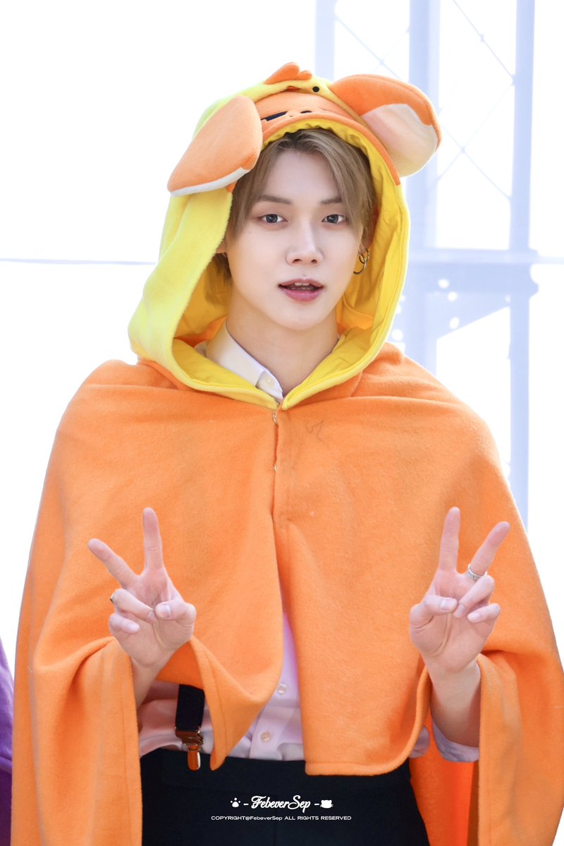 FebeverSep🐈🐈‍⬛ tweet media