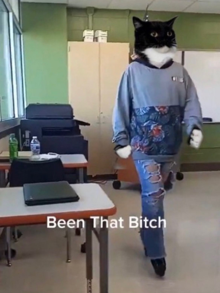 banhmigoddess's tweet image. a few days ago i tweeted about how i was miserable at my city government job. today, I accepted an amazing job offer and put in my resignation!!!
NEVER let your haters think they have one up on you #YourEvilEyeDidntWork #GirlBoss #TheBlessingsCameIn #ImSoUp