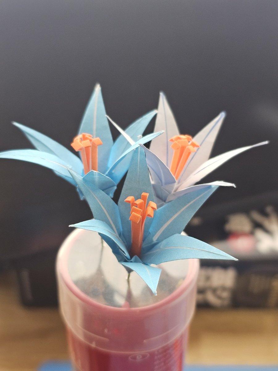 割れたボンゴ tweet media