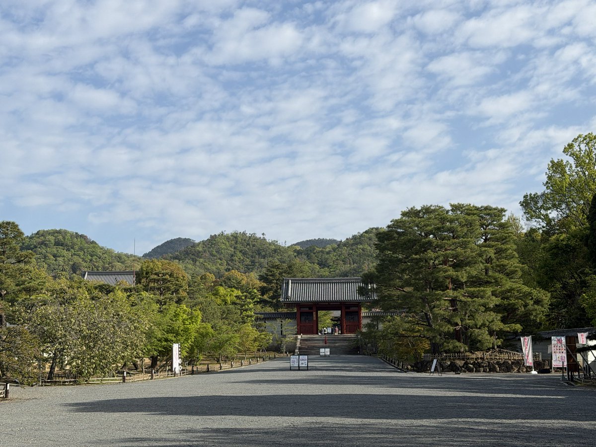 kyoto_city_k's tweet image. 今日の京都の朝散歩
龍安寺から仁和寺へ
天気が良く少し暑いくらい
朝散歩も汗をかく季節になってきました
サクラは終わりでもハナミズキなどが
咲いてきて色とりどりの世界は続きます
#kyoto #temple #spring #そうだ京都行こう