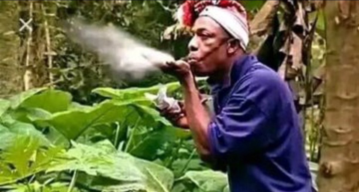 Teddy black7 tweet media