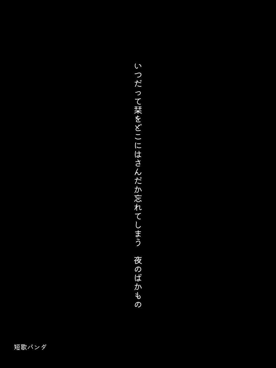 短歌パンダ tweet media