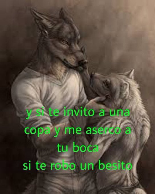 ♢ 𝗝𝗨𝗡𝗞꩜ tweet media