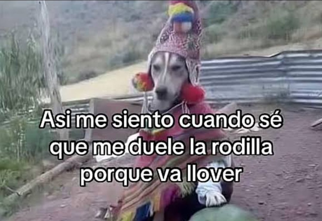 F E R 🖤 tweet media