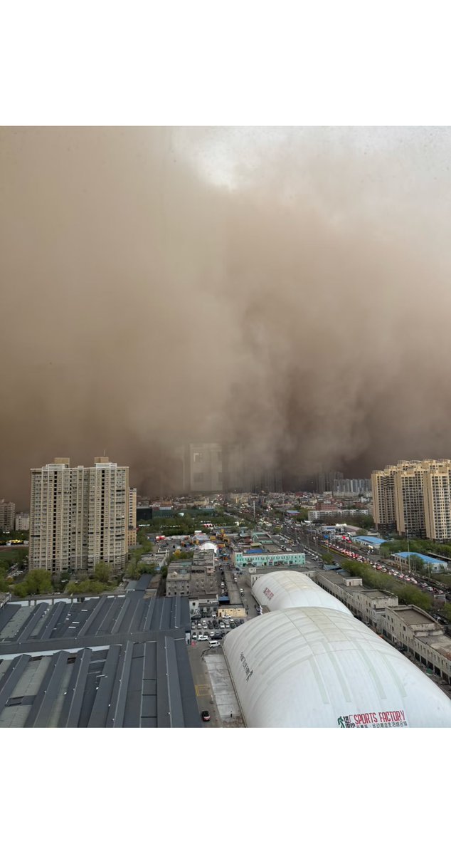 Lyna’s Vibe tweet media