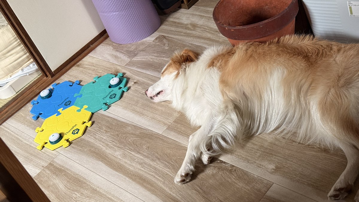 натарін 🧼 tweet media