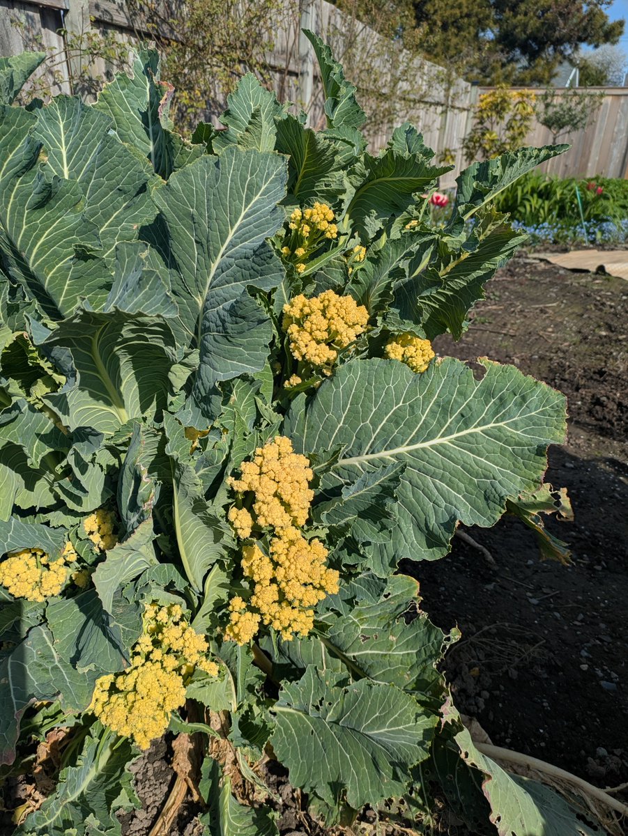 TheFlagChick tweet media