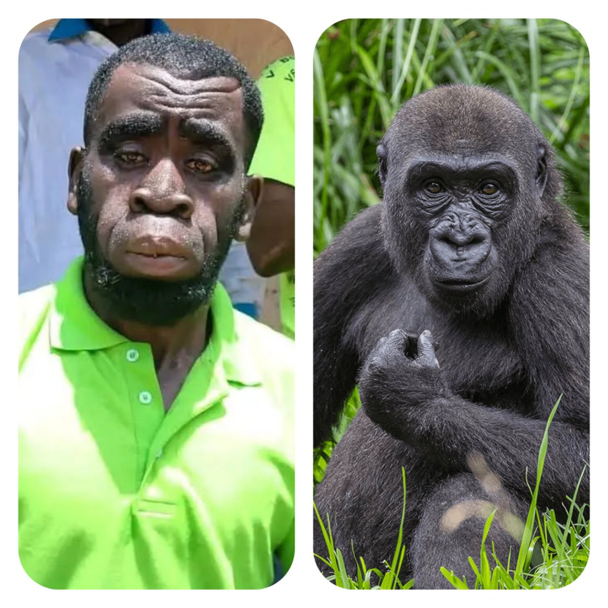 Martinez Politix tweet media