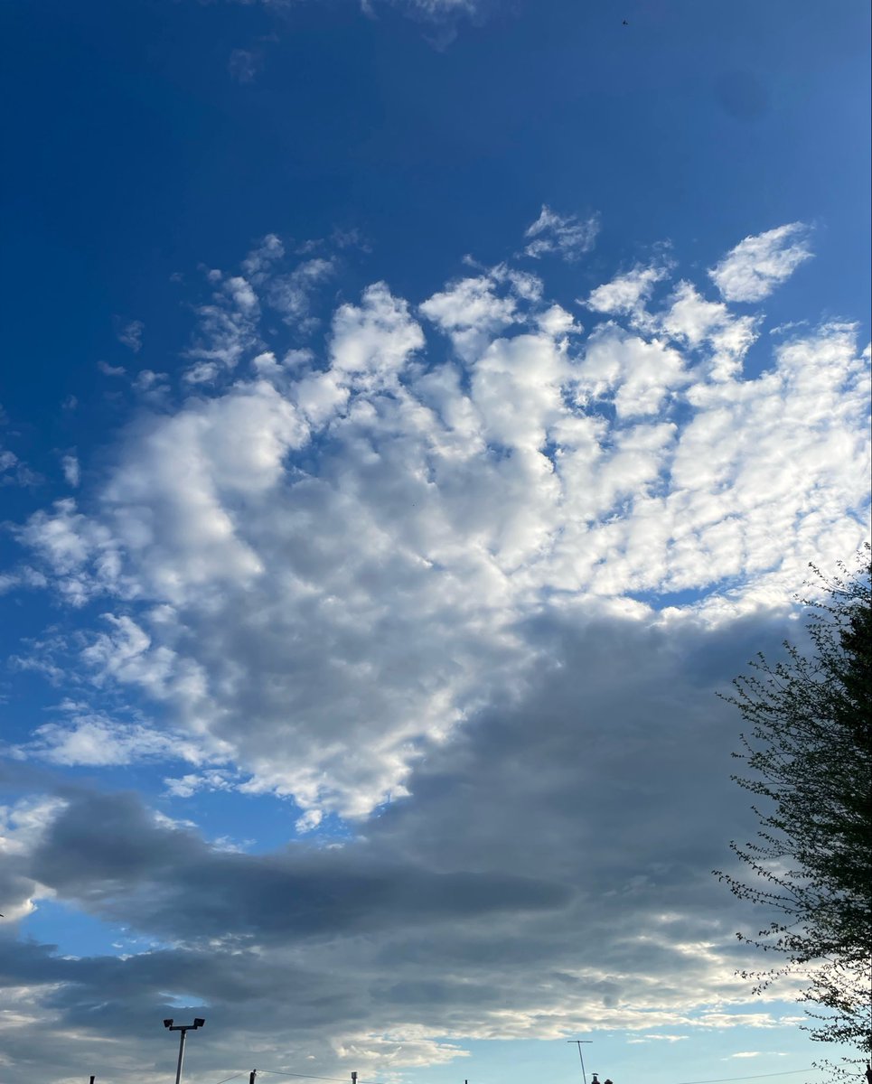 Babybloodbjorn tweet media