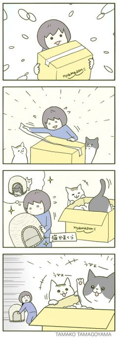 この現象に名前がほしい🐱 