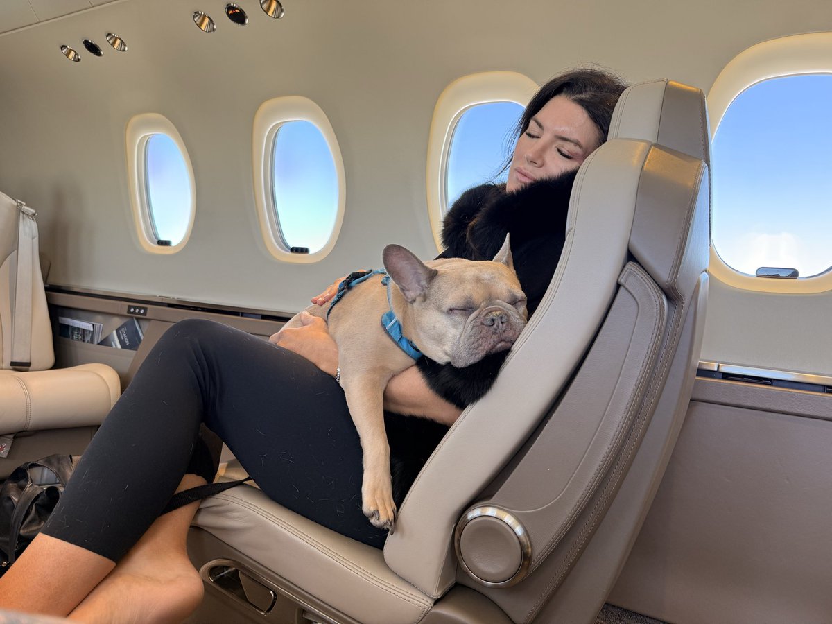 Gina Carano 🕯 tweet media