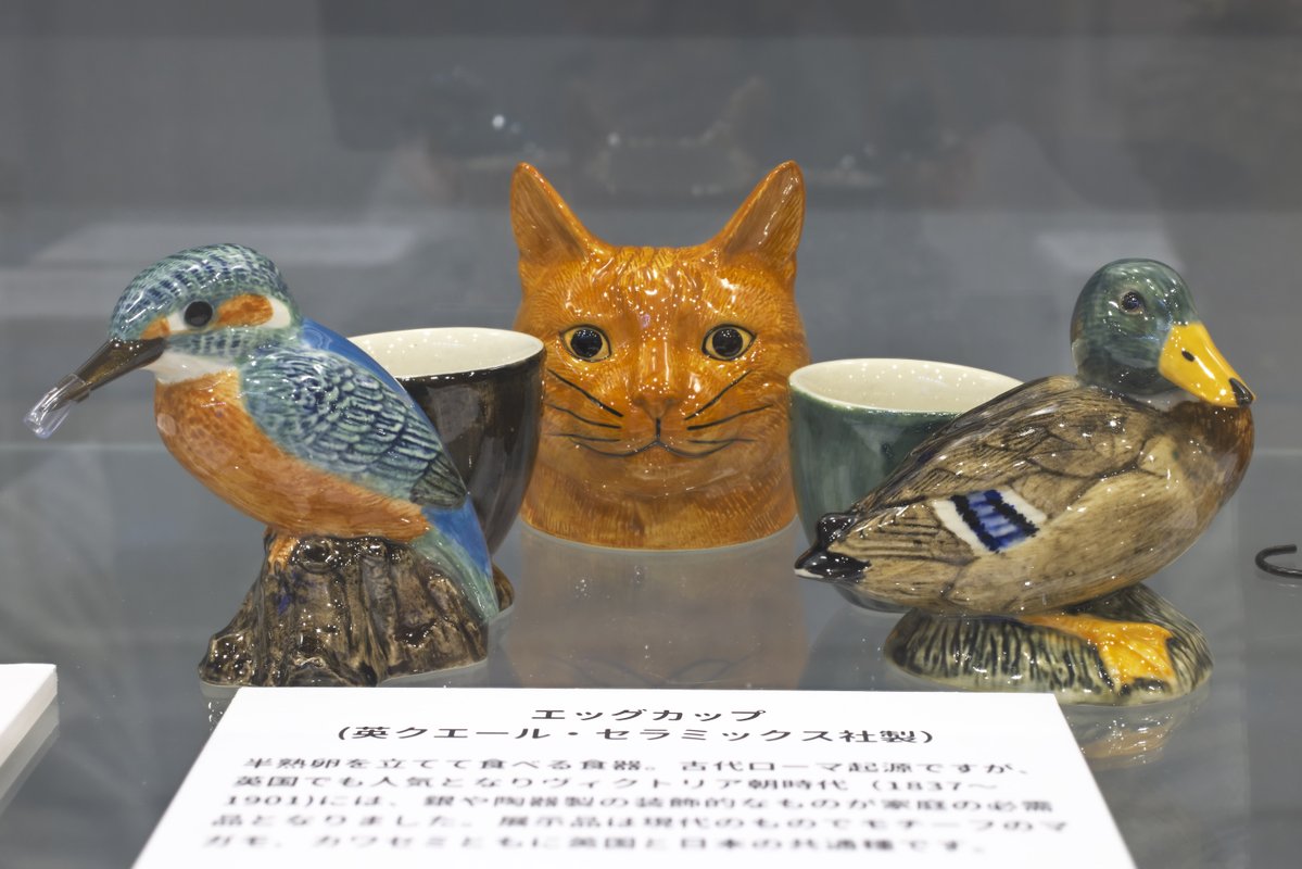 日光自然博物館 tweet media