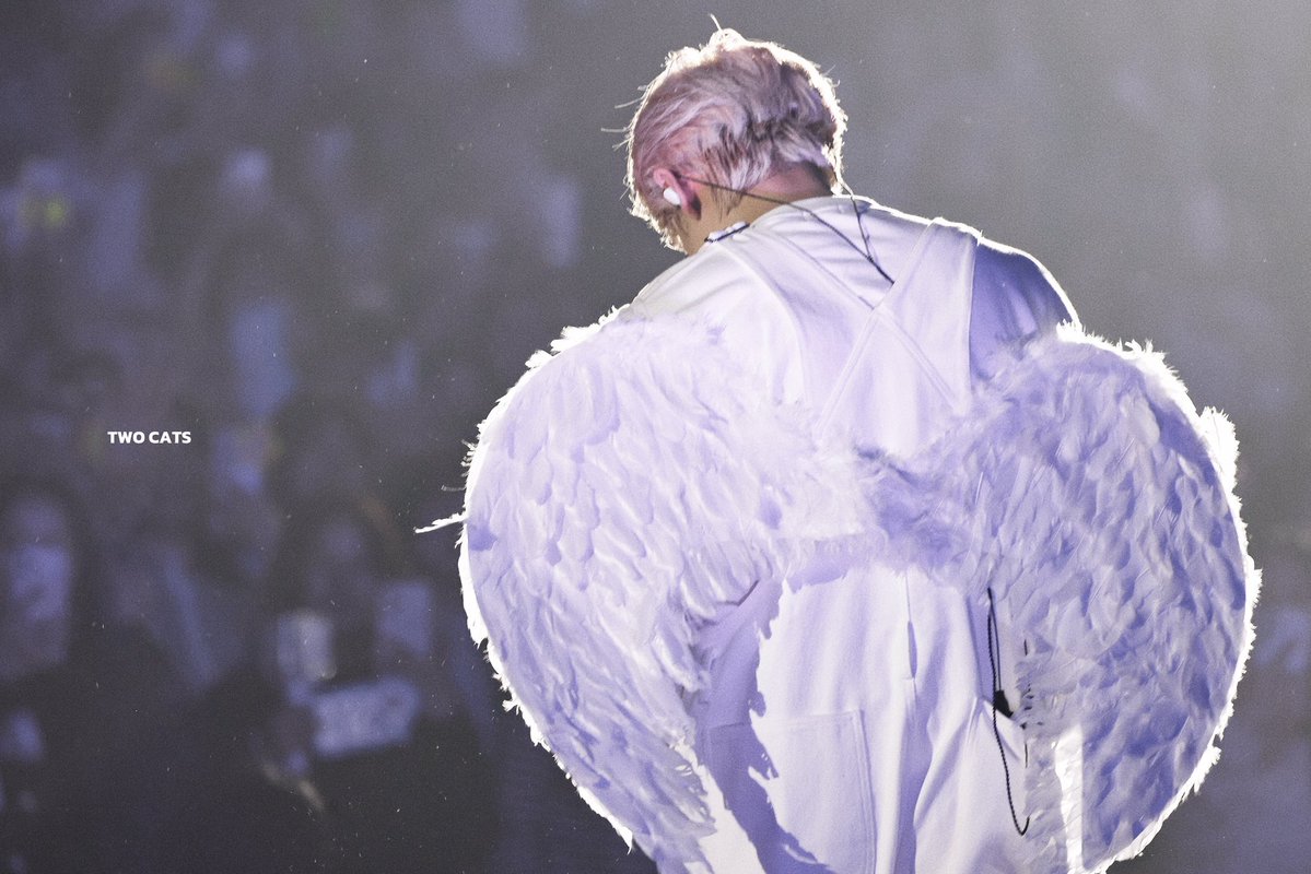 𝑻𝑾𝑶 𝑪𝑨𝑻𝑺 tweet media