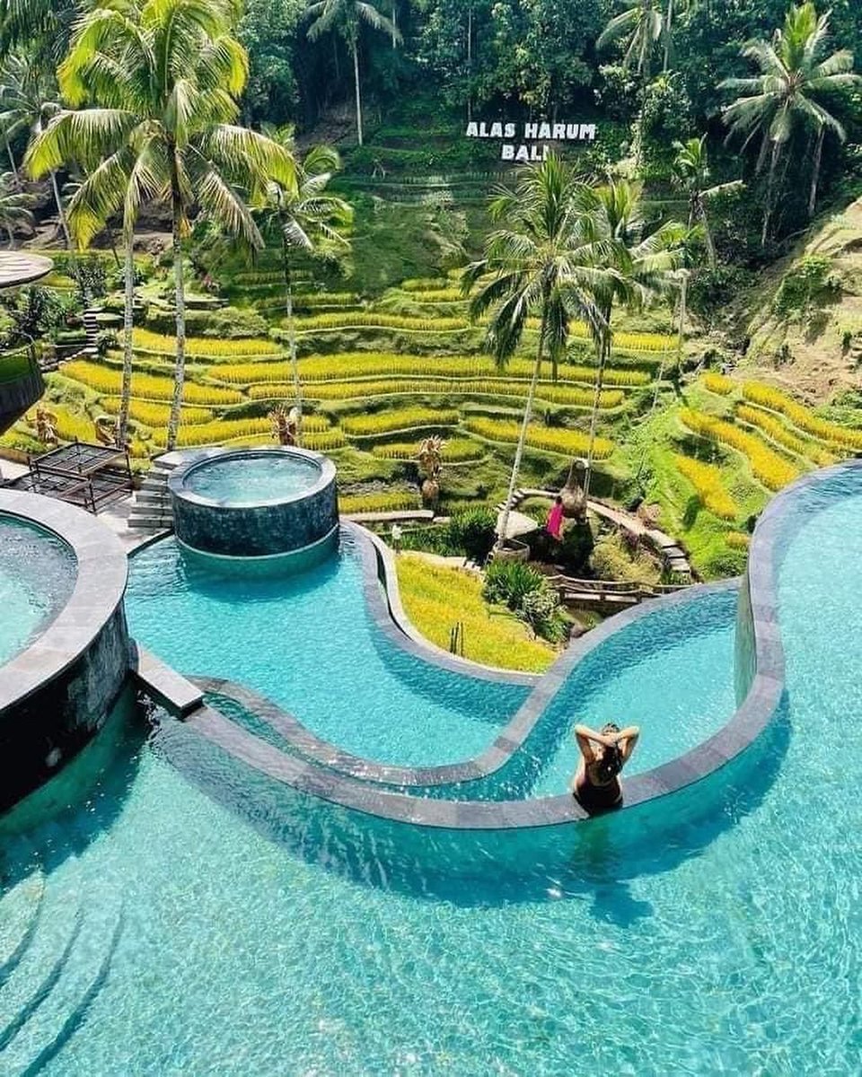 SalvadorMaurice's tweet image. Selamat Pagi from #bali to the World 😎

#bali #ballindonesia #ballisland #balilife #explorebali #balitrip #balitravel #happyweekend #balilifestyle #baliubud
