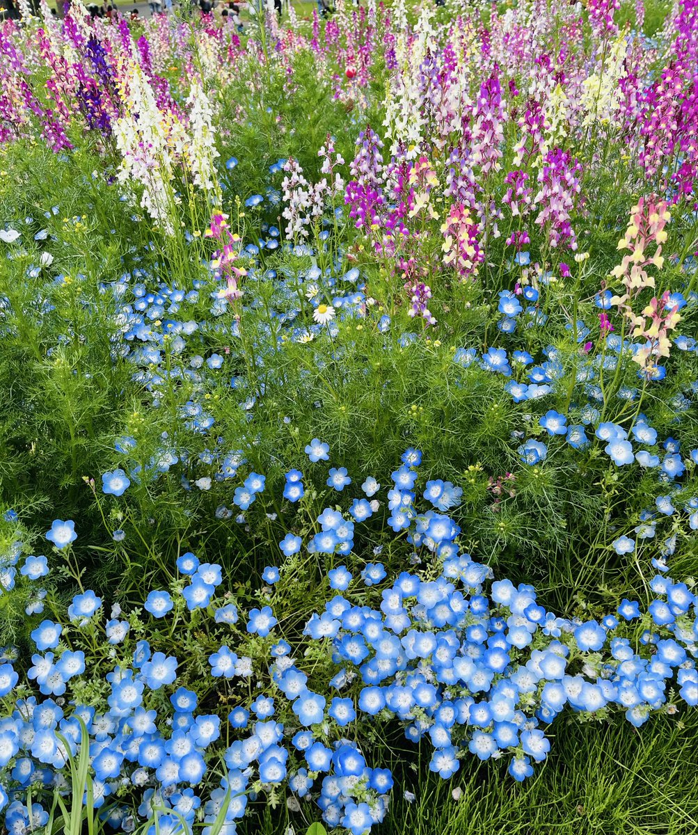 占い師🔮心理占星術ルナ🌙 tweet media