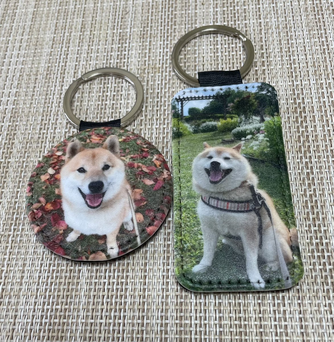 柴どん tweet media