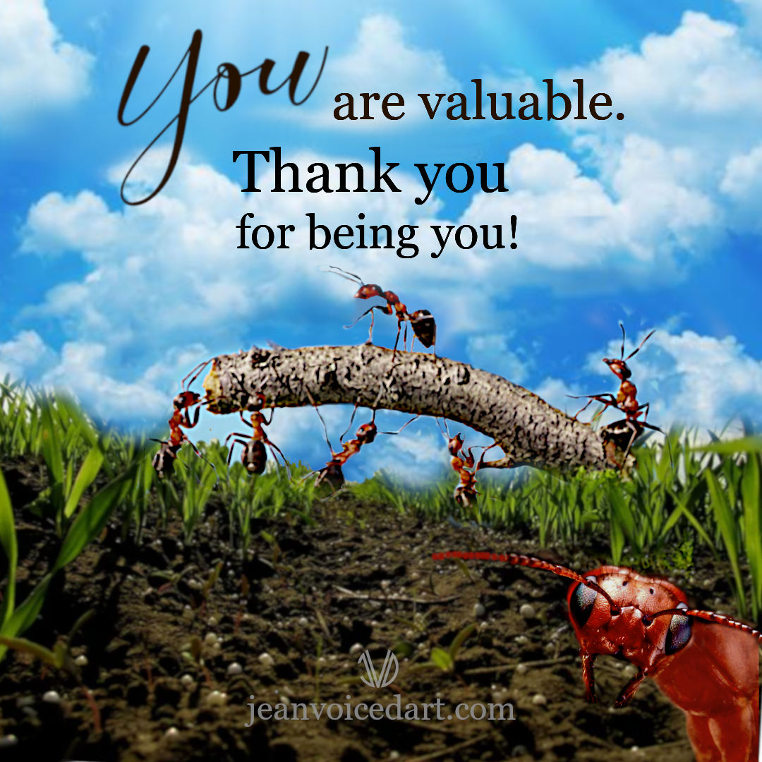 JeanVoiceDart's tweet image. 👋Hello, friends. These ants know how important it is to work together. YOU are a valuable, important part of your family, community, and universe. Thank you for bringing your uniqueness to this world. 🐜🐜🐜🐜💙🙏 #ants #team #friends #teamwork #valuable