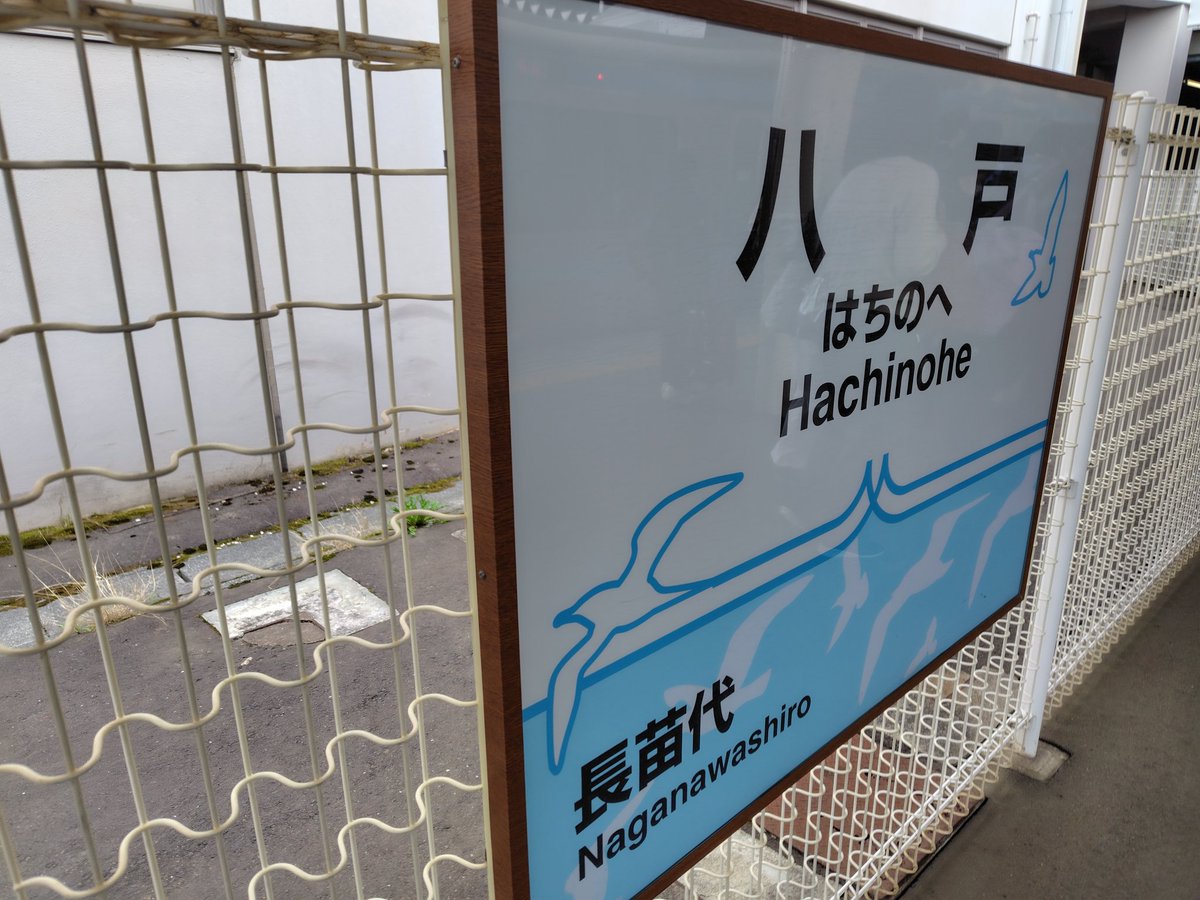 スワテイ(suwa) tweet media